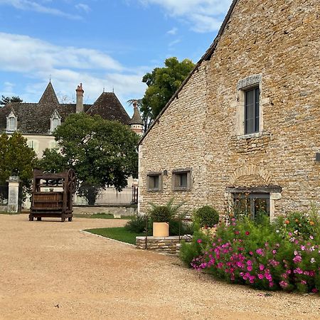 Chateau Du Mauny, Gites Et Chambres D'Hotes En Bourgogne Rosey Eksteriør bilde