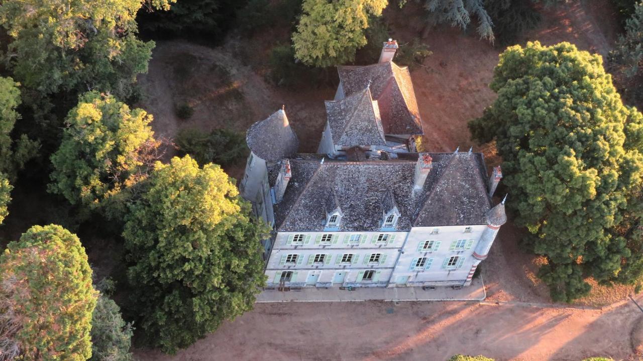 Chateau Du Mauny, Gites Et Chambres D'Hotes En Bourgogne Rosey Eksteriør bilde