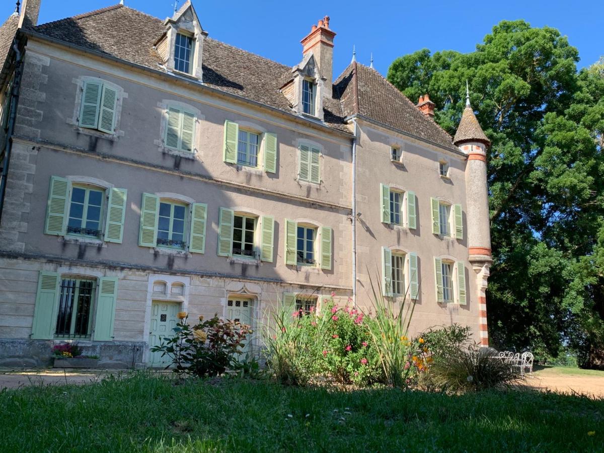 Chateau Du Mauny, Gites Et Chambres D'Hotes En Bourgogne Rosey Eksteriør bilde