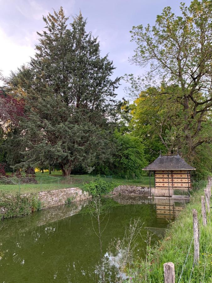 Chateau Du Mauny, Gites Et Chambres D'Hotes En Bourgogne Rosey Eksteriør bilde