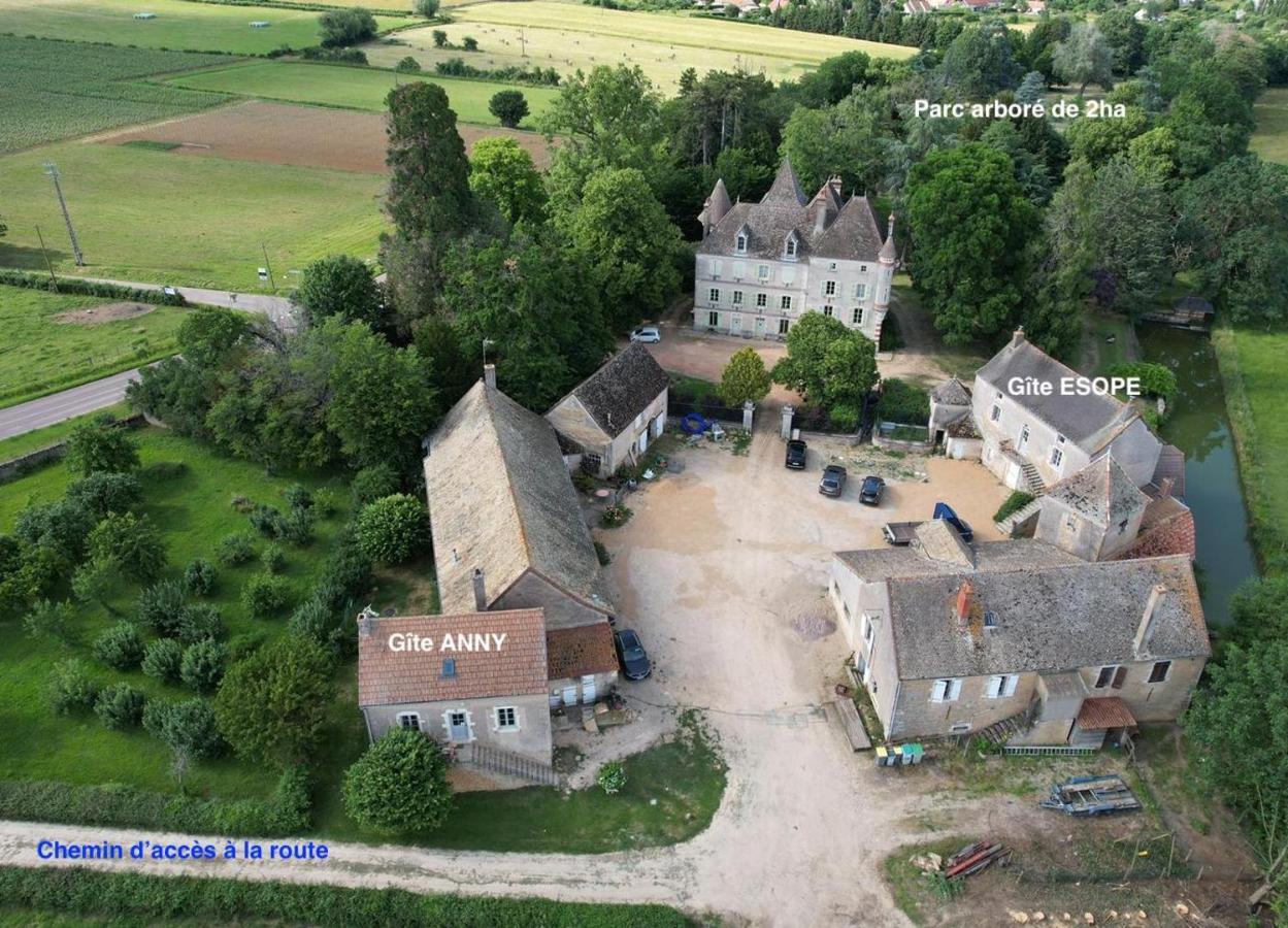 Chateau Du Mauny, Gites Et Chambres D'Hotes En Bourgogne Rosey Eksteriør bilde