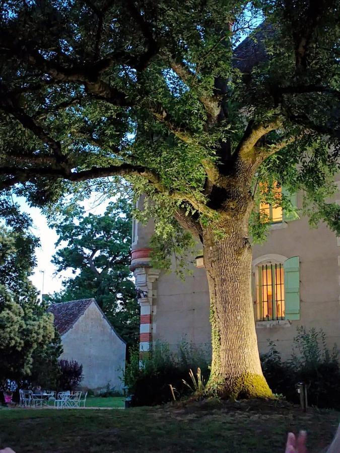 Chateau Du Mauny, Gites Et Chambres D'Hotes En Bourgogne Rosey Eksteriør bilde