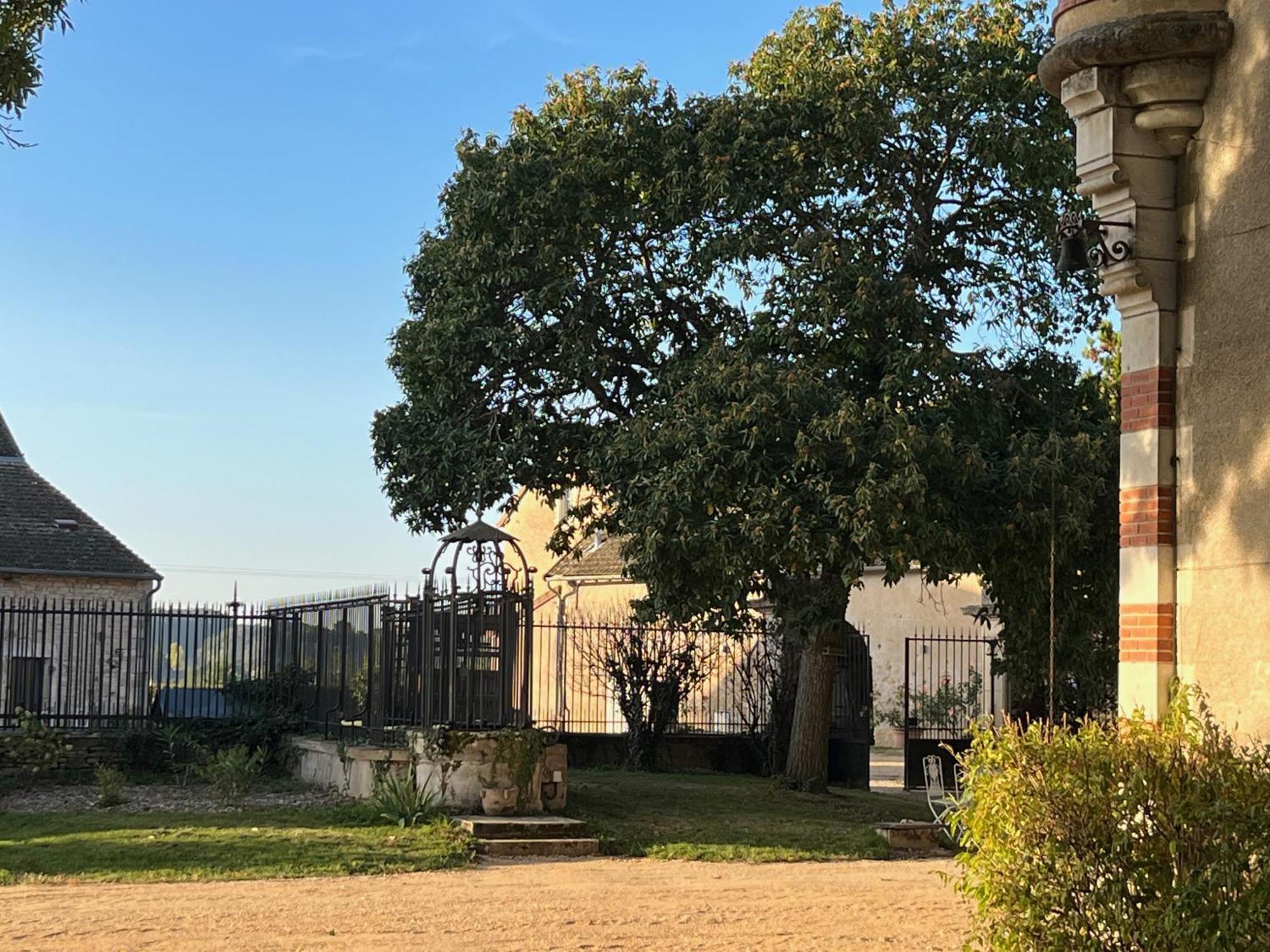 Chateau Du Mauny, Gites Et Chambres D'Hotes En Bourgogne Rosey Eksteriør bilde