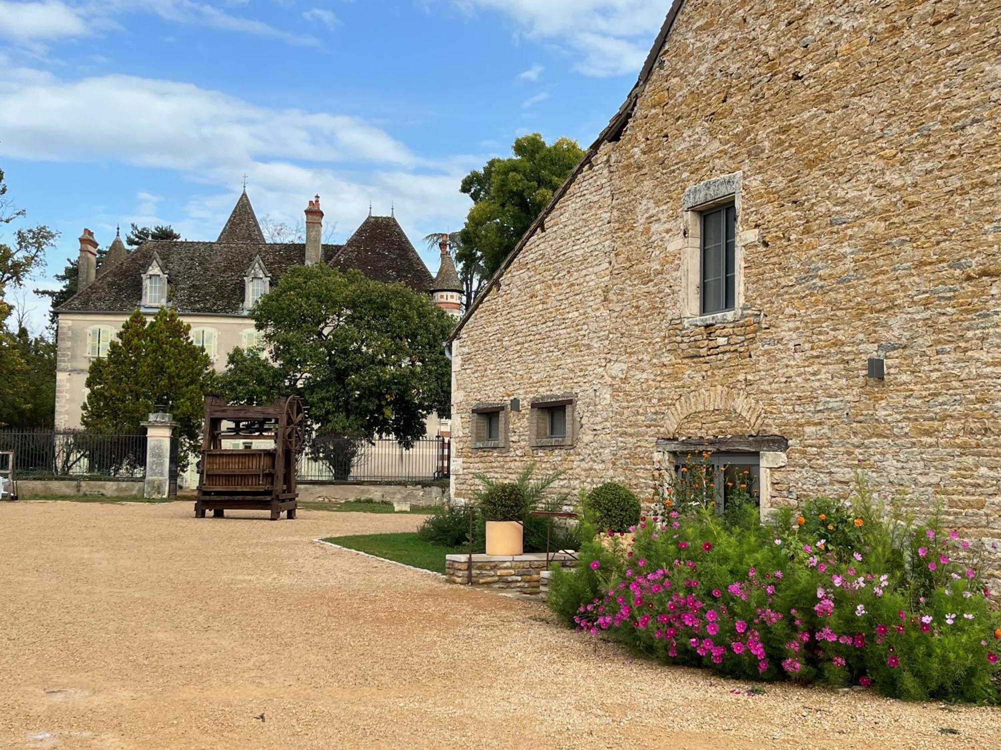 Chateau Du Mauny, Gites Et Chambres D'Hotes En Bourgogne Rosey Eksteriør bilde